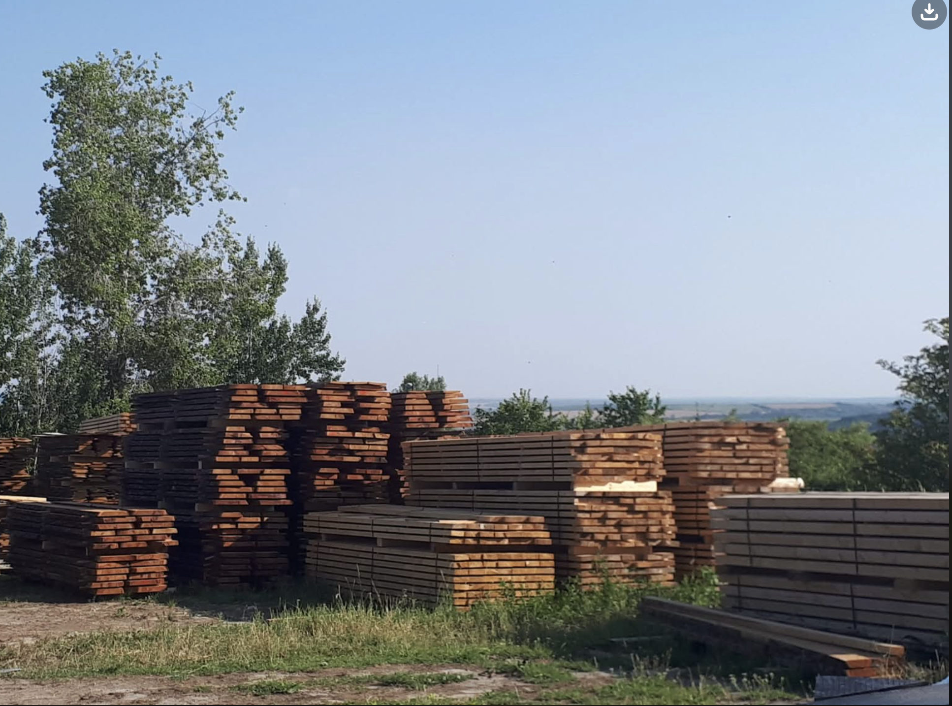 Skladová plocha s řezivem a kulatinou